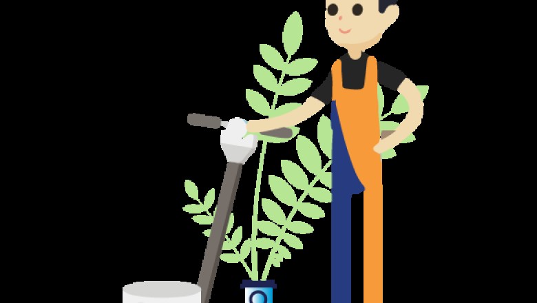 Experience Carpet Cleaning Services