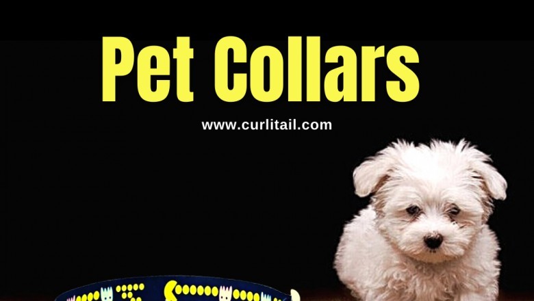 Buy pet accessories online | dog accessories shop