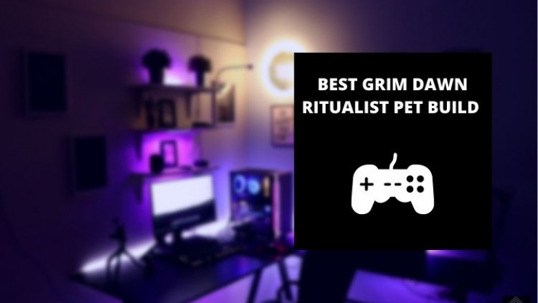 Best Grim Dawn Ritualist Pet Build In 2021 | Complete Guide