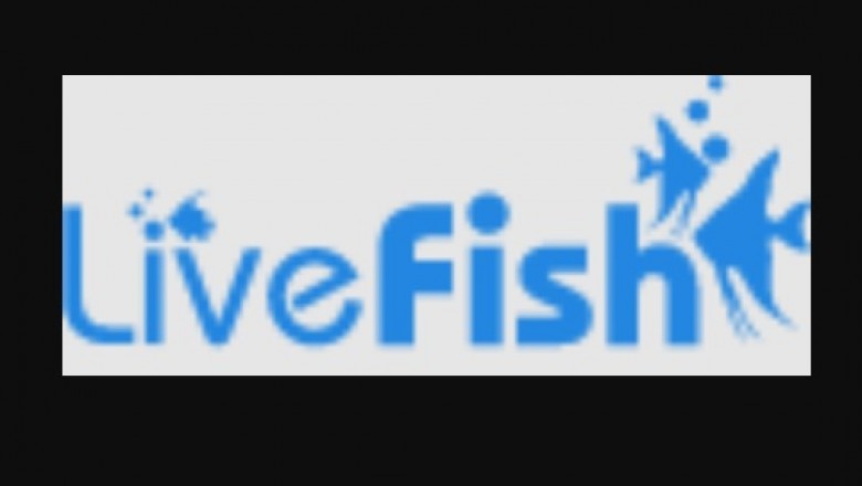 Things to think about When Purchasing Aquarium Fish Tanks