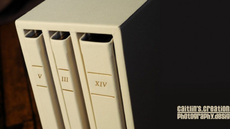 From Texas With Love: Zook Book Triple Album Set