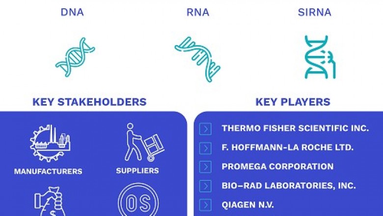 Transfection Reagents And Equipment Market Size By Product