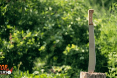 The Best Machete That Works Like Anything for You