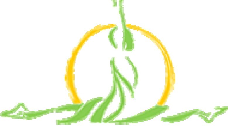 Dhyana- pilates studio dubai