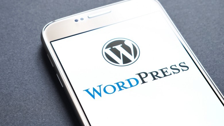 Ecommerce Website Development in WordPress CMS in 2021