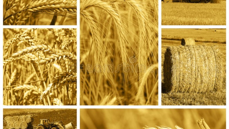 Ibiza - anuncios clasificados de jardinería, herramientas, productos para el cultivo - jardín y granja