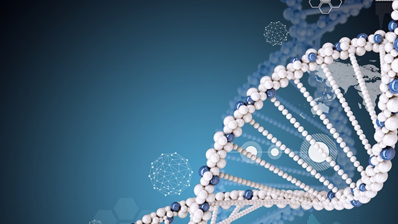 Mendelian Disorders Testing Market Present Scenario 2017-2023