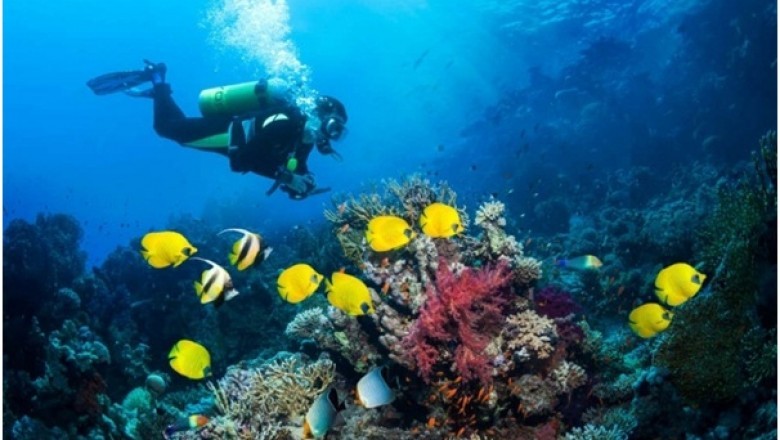 Why Diving in Indonesia Is Additional Enjoyable
