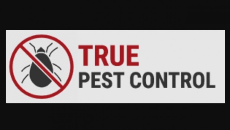 Control Pests With Helpful Pest Control Services