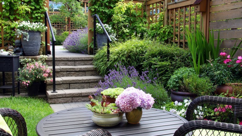 Zaragoza - anuncios clasificados de jardines, patio trasero, plantas, diseño de jardín - paisajismo - jardinería