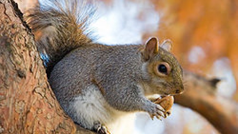 Big Buy Fashion Industry..