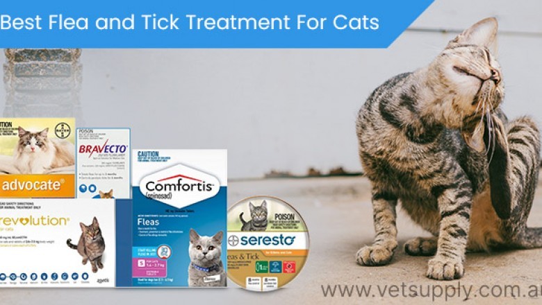 Best Flea and Tick Treatment For Cats
