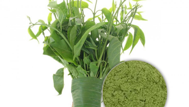 Organic Gymnema Sylvestre Leaf Powder