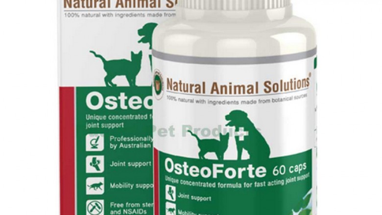 Buy Natural Animal Solutions OsteoForte For Cats Online - DiscountPetCare