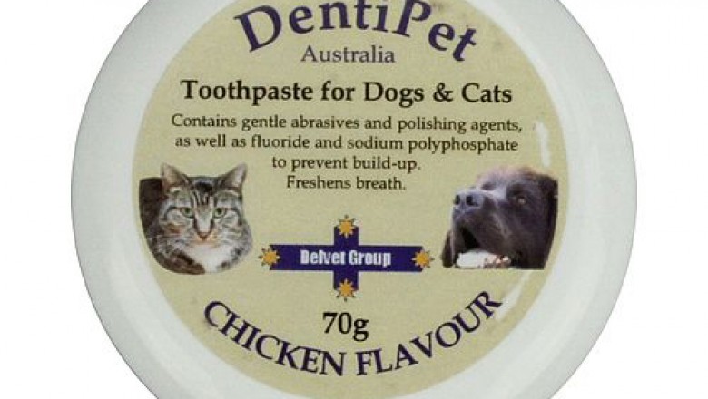 Buy Dentipet Toothpaste For Cats Online - DiscountPetCare