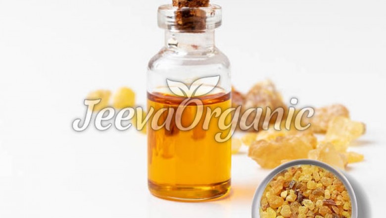 Boswellia Extract Powder Supplier