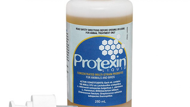 Buy PRON8URE (PROTEXIN) LIQUID For Dogs Online - DiscountPetCare