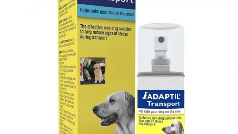 Buy Adaptil Spray For Dogs Online - DiscountPetCare