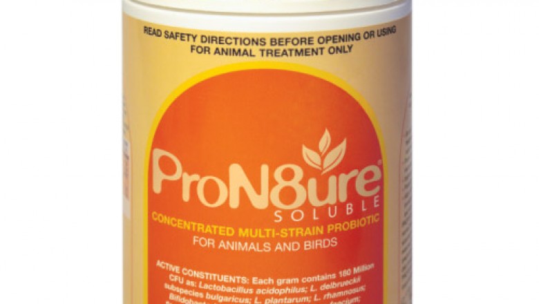Buy PRON8URE (PROTEXIN) SOLUBLE For Dogs Online - DiscountPetCare