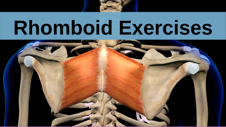 Rhomboid One Arm Ball Exercise