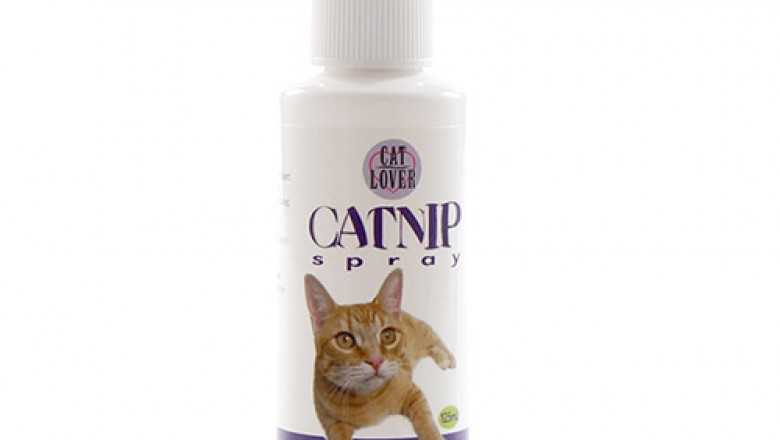 Buy Aristopet Catnip Spray For Cats Online - DiscountPetCare