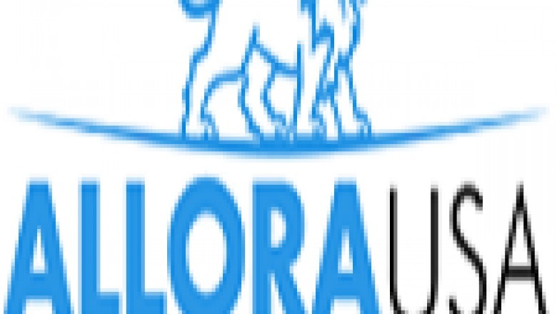 Sinks & Faucets for Kitchen & Bath | Allora USA