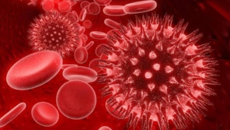 Cells, cell lines, and tissues are collected, stored, characterised, and tested in the cell banking outsourcing sector.