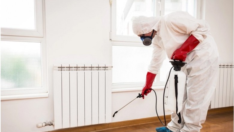 Get the Pest Control Bristol Quote from us