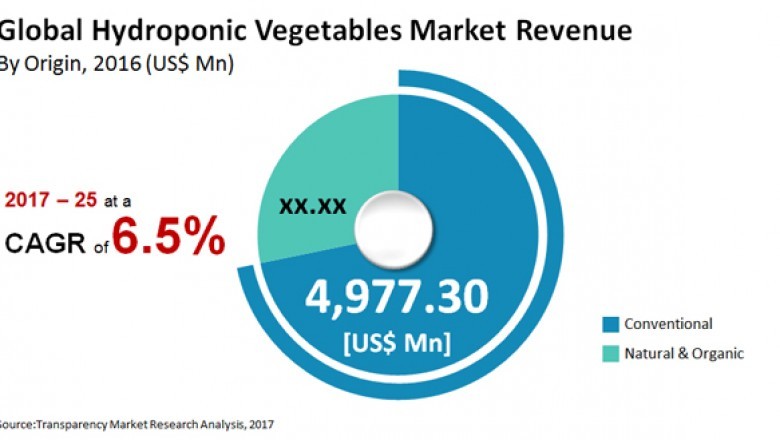 Global Hydroponics Market to Grow at 6.5% CAGR during 2017-2025