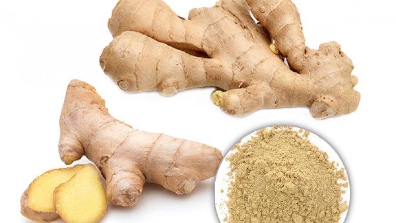 Organic Ginger Extract powder