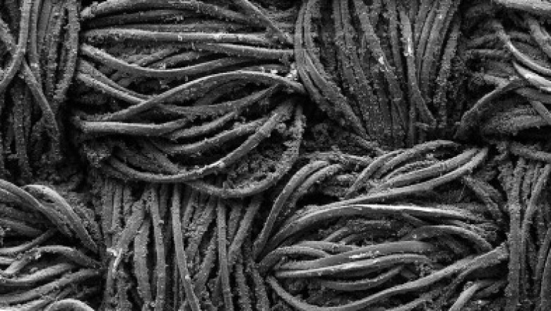 Conductive polymer coatings applied to conductive polymers of the kind of organic polymers conducting electrical power