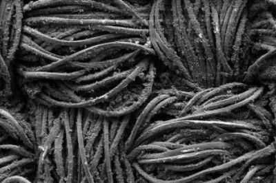 Conductive polymer coatings applied to conductive polymers of the kind of organic polymers conducting electrical power