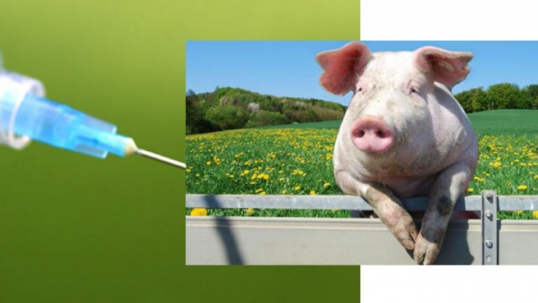Porcine Reproductive and Respiratory Syndrome Vaccine Market Analysis-2027