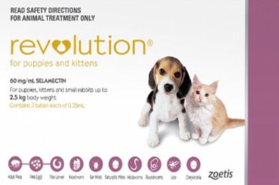 Buy Revolution Online At Lowest Price With Free Shipping - DiscountPetCare
