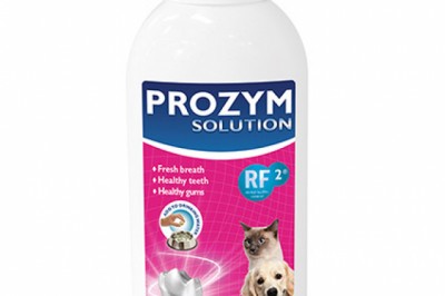 Buy Prozym Dental Solution For Dogs and Cats Online - DiscountPetCare