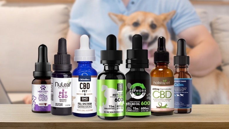 CBD Oil For Dogs