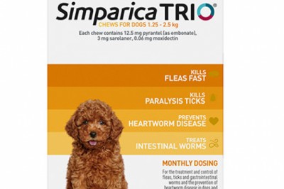 Buy Simparica Online At Lowest Price With Free Shipping - DiscountPetCare