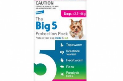Buy The Big 5 Online At Lowest Price With Free Shipping - DiscountPetCare