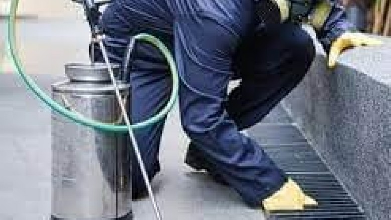 Pest Control Services Cambridge ON