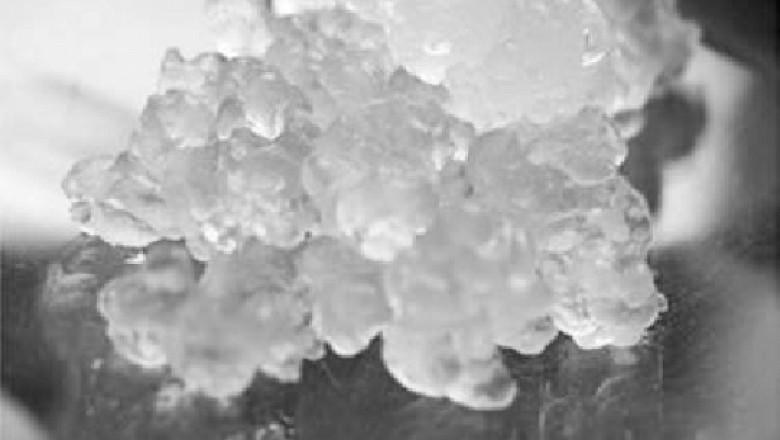 Size, Share, Price, Trends, Report, and Forecast 2025 for the Cellulose Gel Market