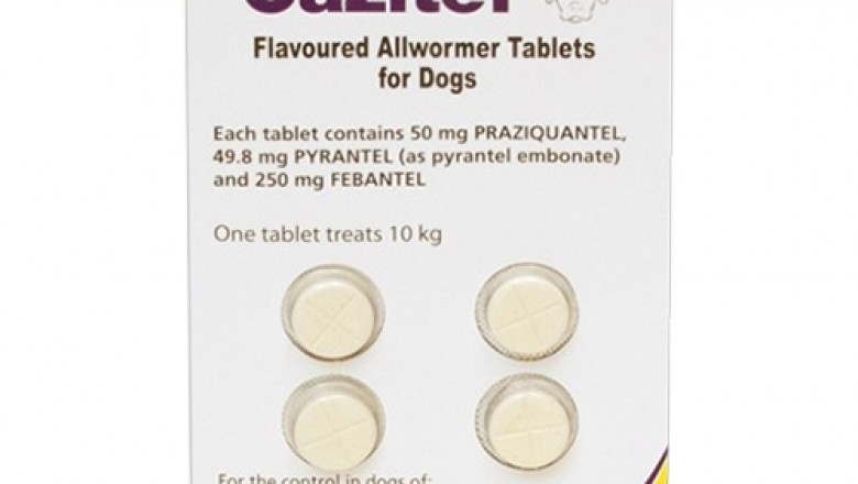 Buy Cazitel Online At Lowest Price With Free Shipping - DiscountPetCare