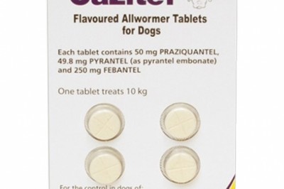 Buy Cazitel Online At Lowest Price With Free Shipping - DiscountPetCare