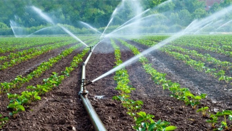Micro Irrigation Systems Market Analysis, Segments, Leading Player,Application & Forecast to 2030