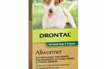 Buy Drontal Online At Lowest Price With Free Shipping - DiscountPetCare