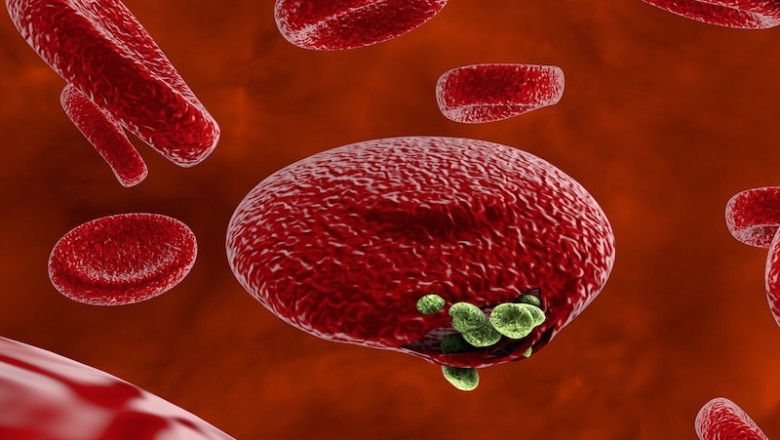 The von Willebrand disease (VWD) treatment market is growing due to rising prevalence of von Willebrand disease globally.