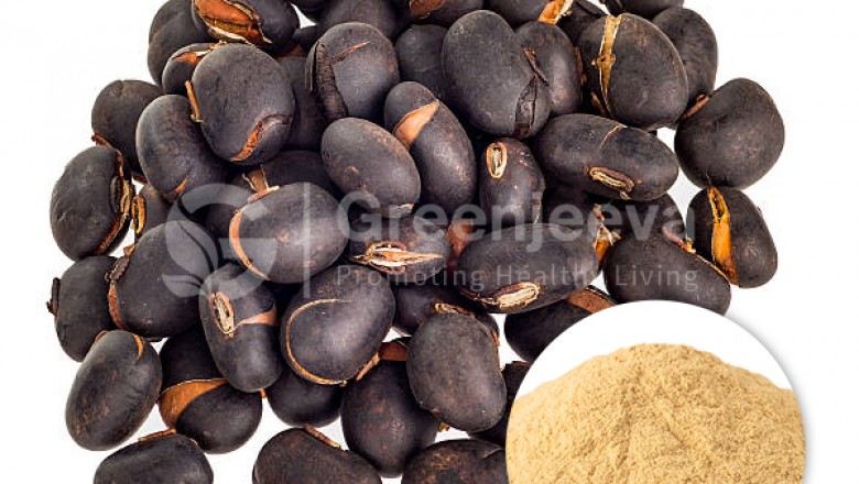 Bulk Mucuna Pruriens Seed Powde