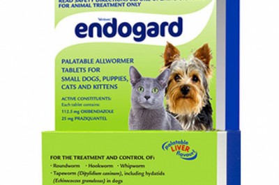 Buy Endogard Online At Lowest Price With Free Shipping - DiscountPetCare