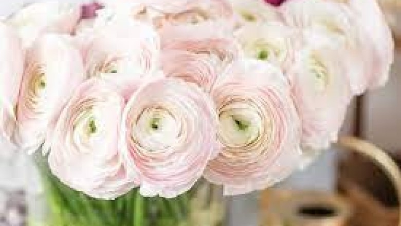 buy flowers online
