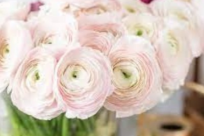 buy flowers online