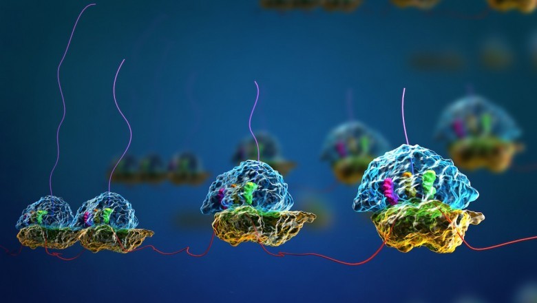 Cell-free Protein Expression has become an important approach in the development of drugs and novel therapeutics